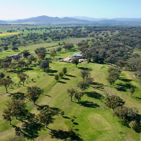 Quirindi Sunflower Motor Inn Экстерьер фото