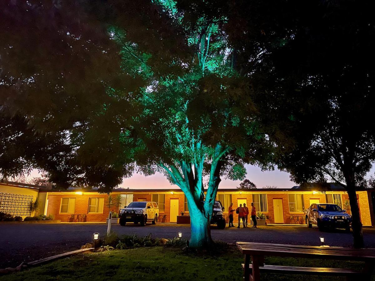 Quirindi Sunflower Motor Inn Экстерьер фото