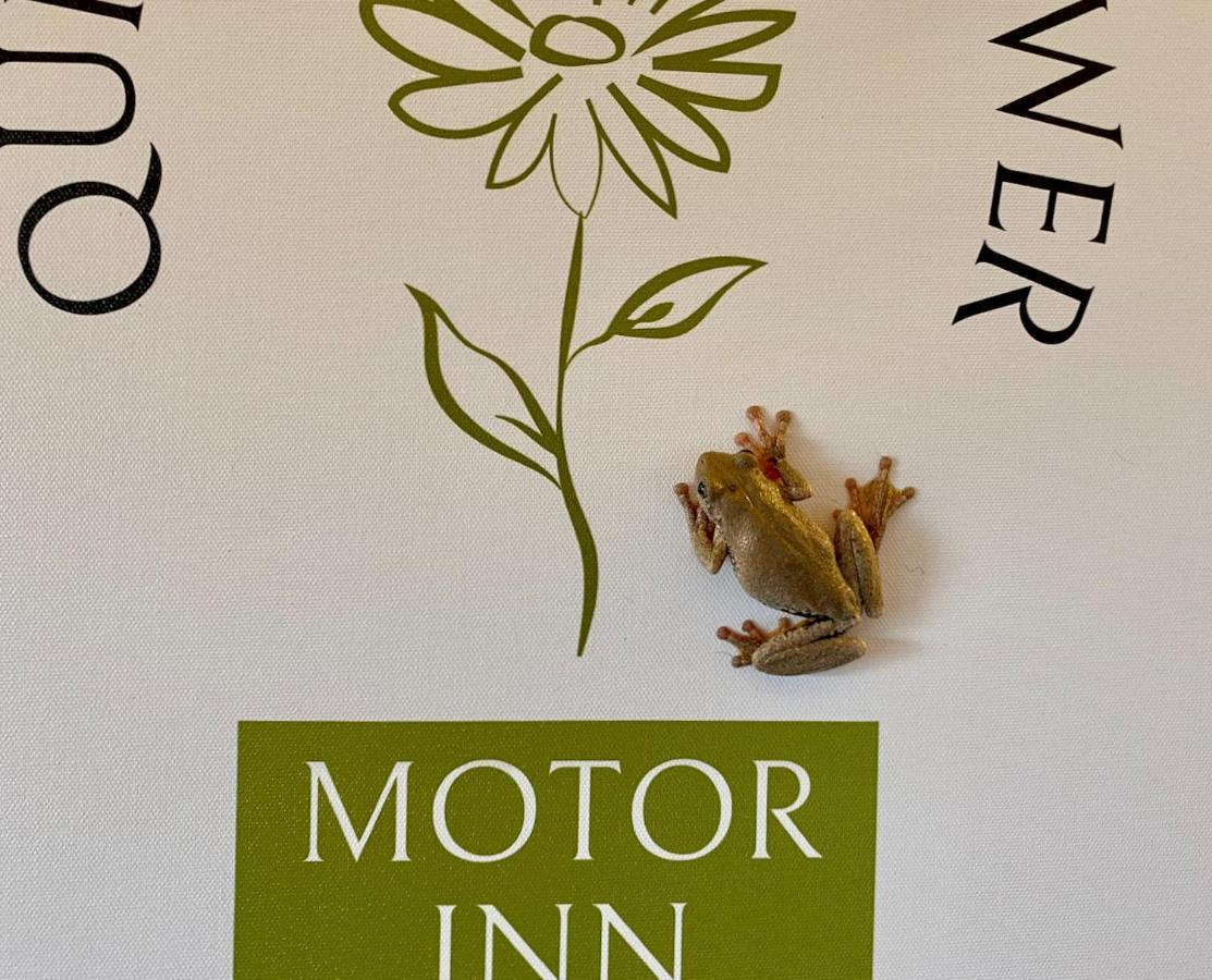 Quirindi Sunflower Motor Inn Экстерьер фото